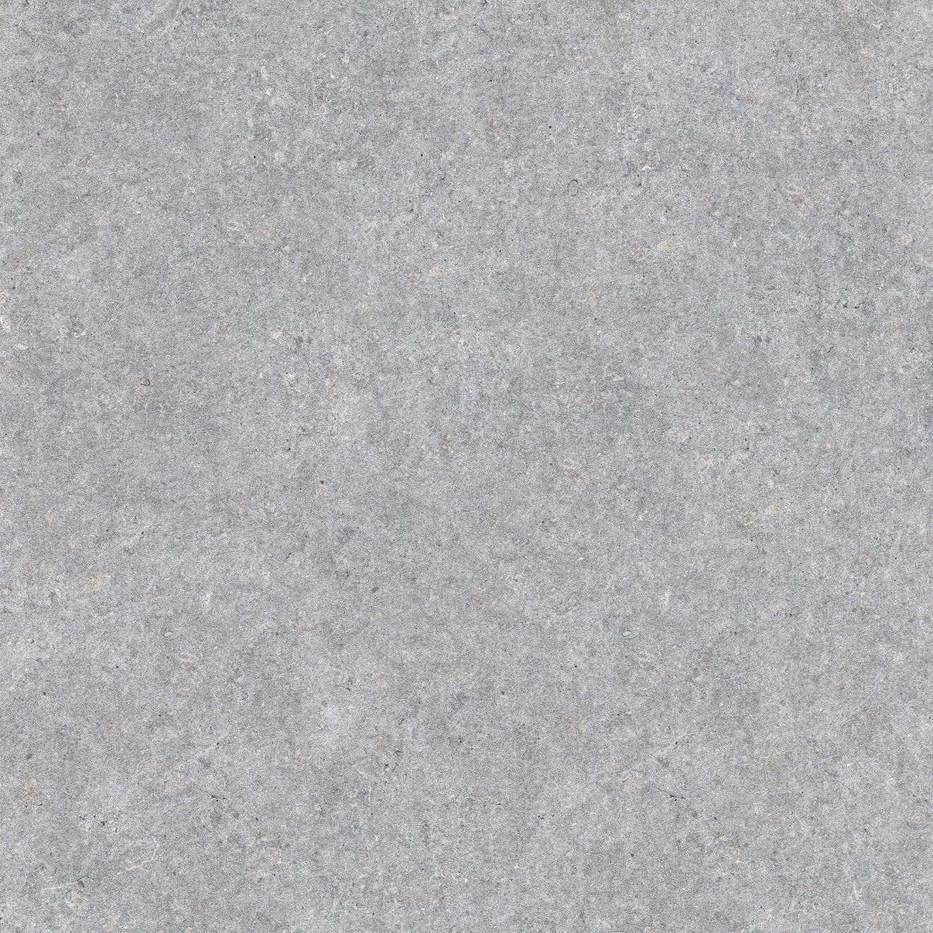 Magnifica Nineteen Forty-Eight 48" x 48" - 8mm Polished Porcelain Tile in Shell Beach | Bedrosians Tile & Stone