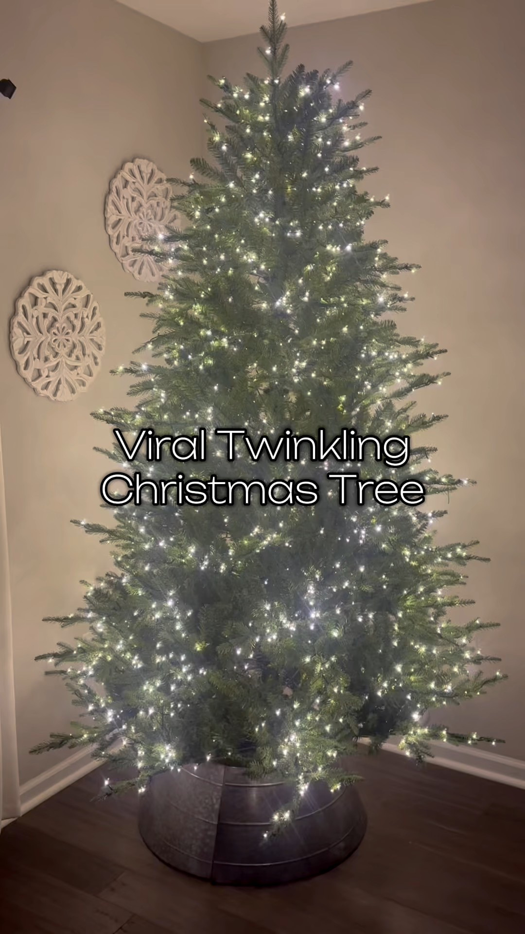 ✨ Watch this sparkle! My Christmas tree just got its glow-up and I’m officially in full holiday mode 🎄✨
#christmastree #christmasdecor #christmaslights #holidaydecor #christmasvibes #christmastime #xmas #christmasiscoming #foryoupage #fyp #viral

#LTKHome #LTKSeasonal #LTKHoliday