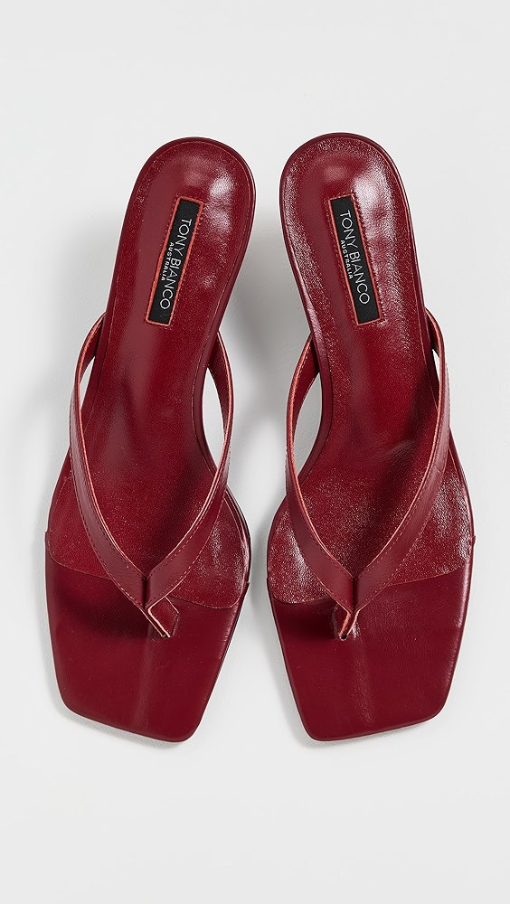 Topaz Thong Heels | Shopbop