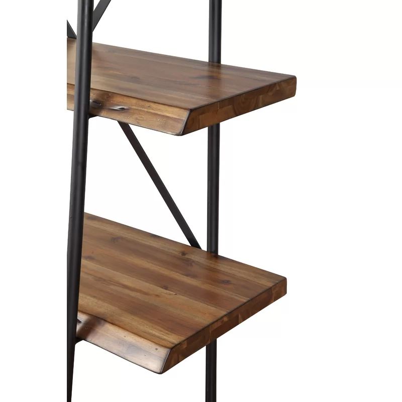 Winschoten Ladder Bookcase | Wayfair North America