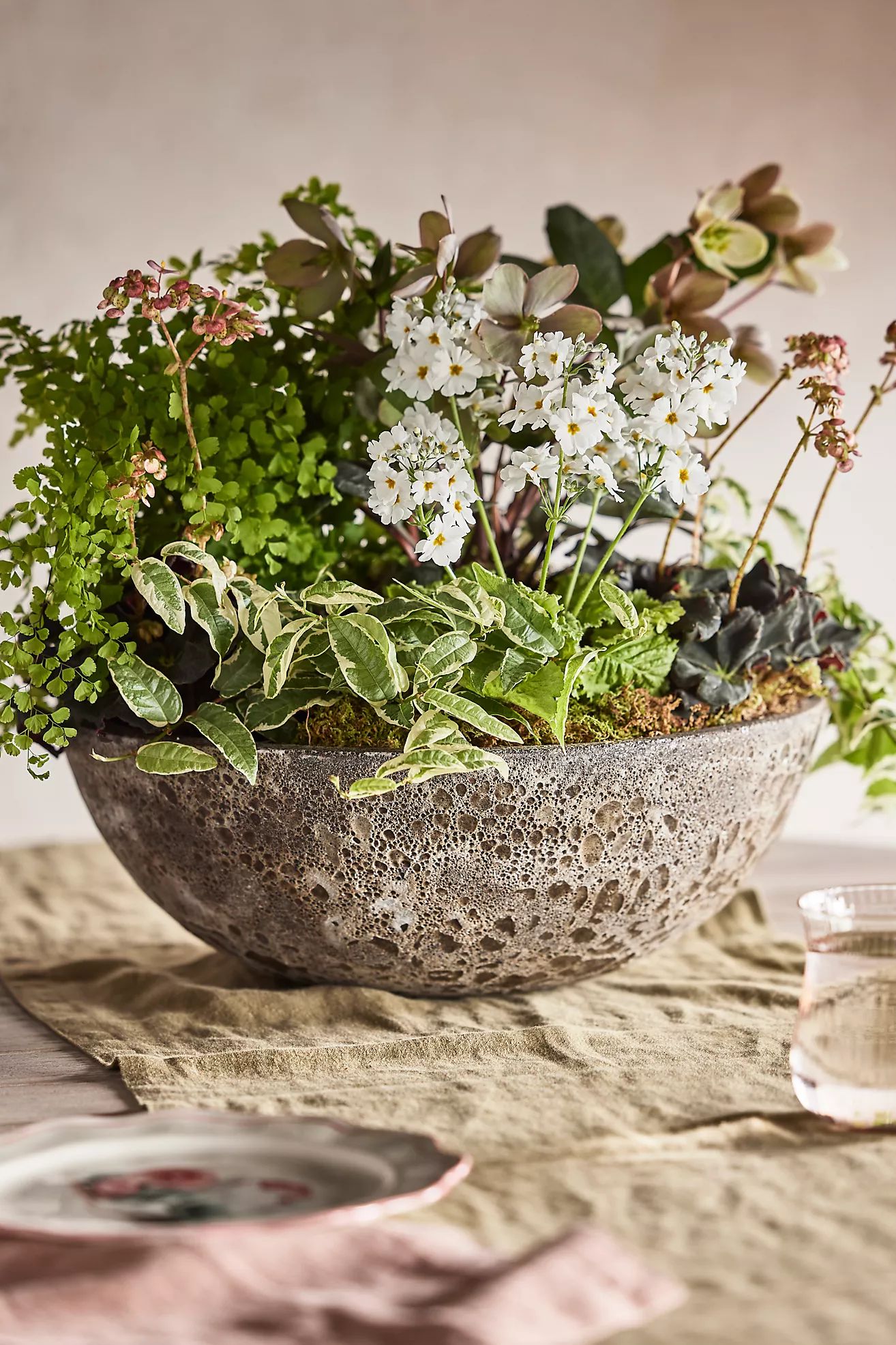 Barnacle Rounded Bowl Planter | Terrain