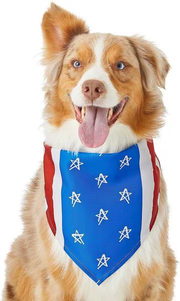 Frisco Stars & Stripes Dog & Cat Bandana | Chewy.com