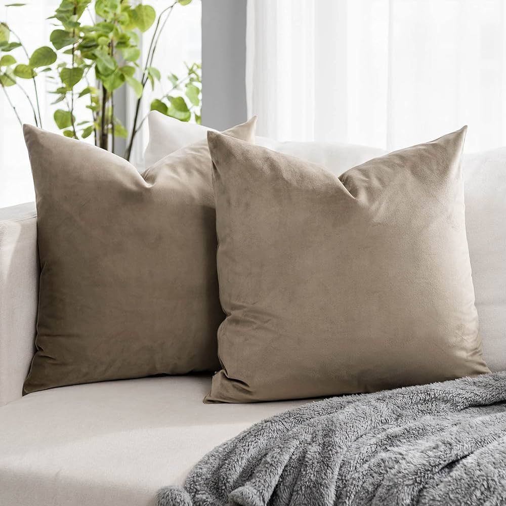 QUAFOO Stone Decorative Lumbar Velvet Throw Pillow Covers 24x24 inch Set of 2 with Zipper Luxury ... | Amazon (US)