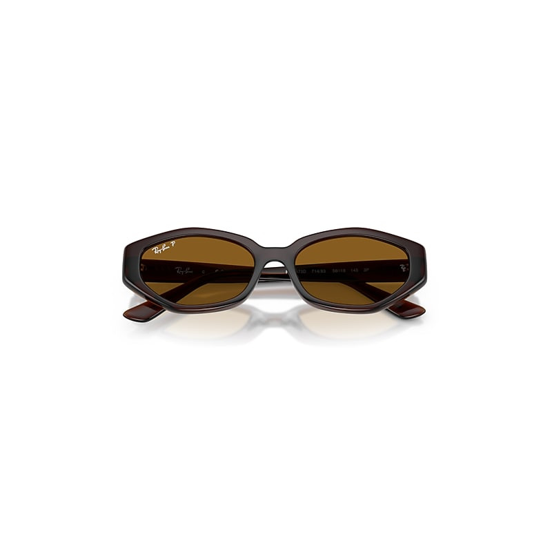 Ray-Ban Rb4473d Sunglasses Dark Brown Frame Brown Lenses Polarized 56-18 | Ray-Ban (US)