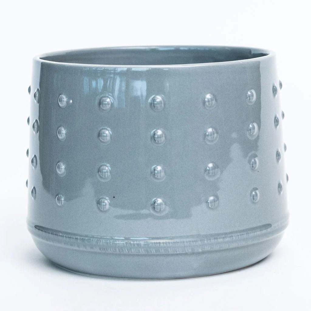 Gosse Ceramic Pot Planter | Wayfair North America