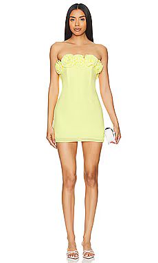 Lovers and Friends Jemma Mini Dress in Yellow from Revolve.com | Revolve Clothing (Global)