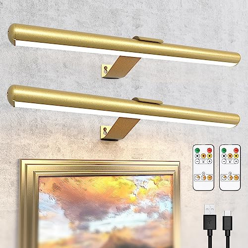 16inch 2 pack Picture Light with Remote Painting Light Dimmable Full Metal Led Picutre Light for Pictures Paintings Arts Dartboard Rechargeable Battery Operated Picture Lights on Wall 300LM | Amazon (US)