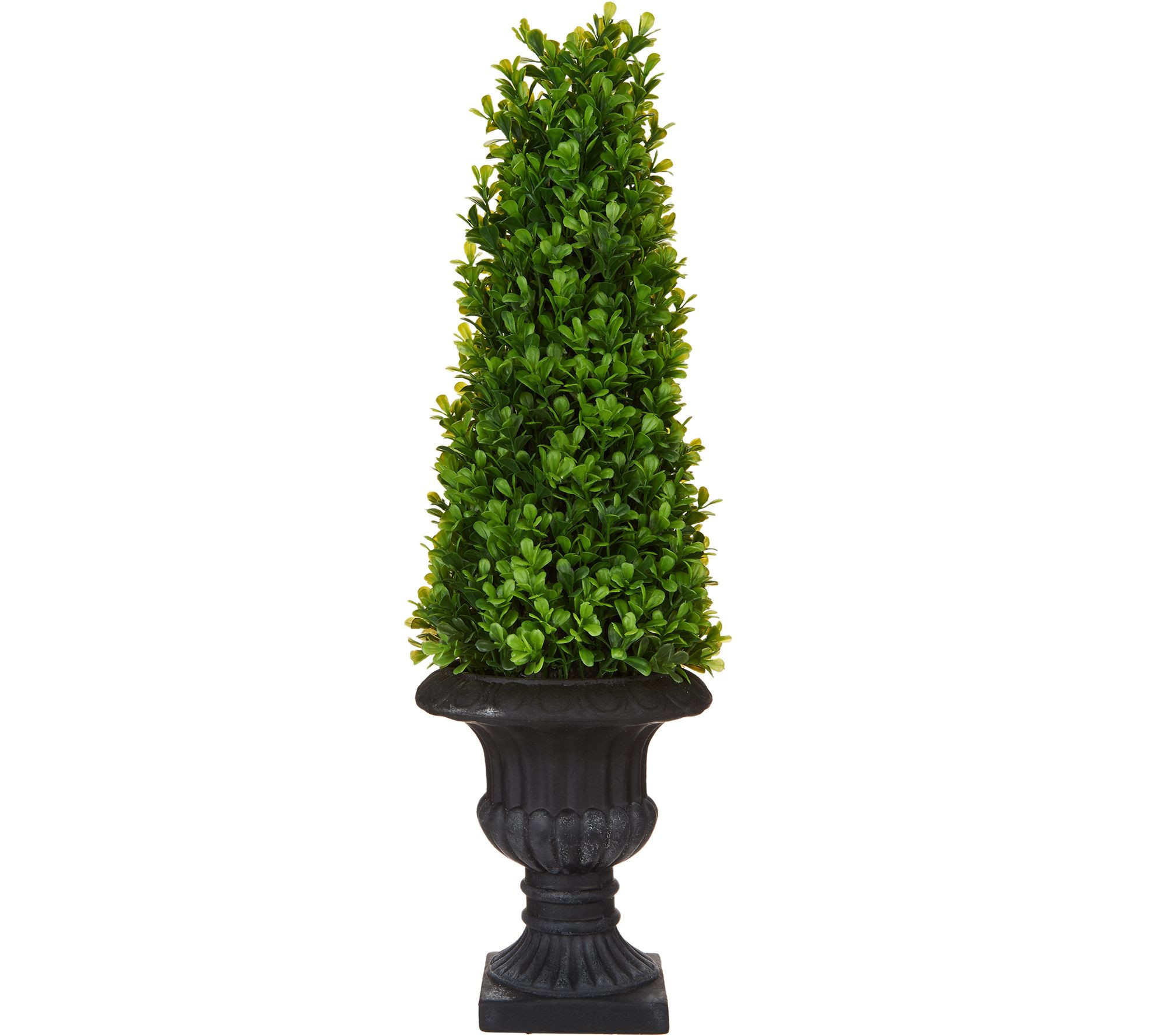 21" Boxwood Topiary with Urn by Valerie — QVC.com | QVC