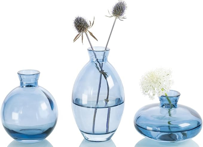 Bud Vase 3Pcs/Set Mini Vase Small Glass Vase for Desktop Centerpieces Decor,Handmade Vase for Flo... | Amazon (US)