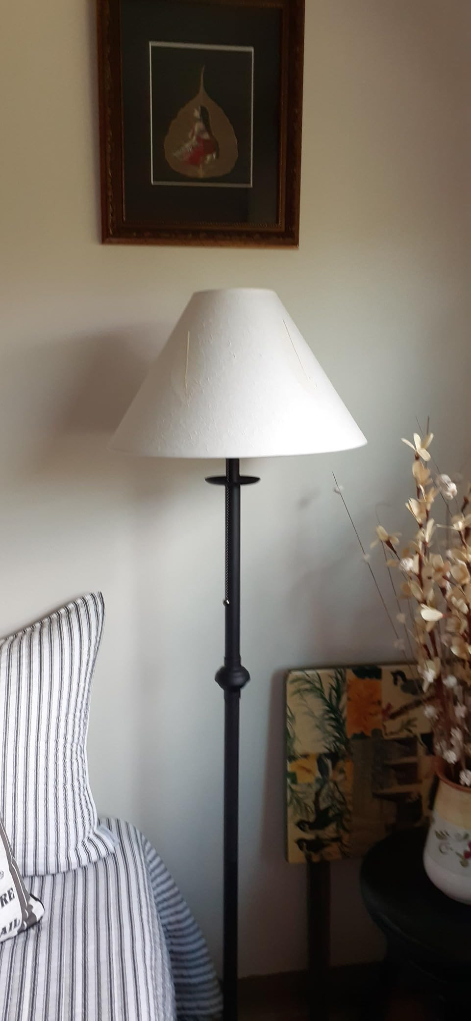 Cal Lighting BO-903FL Iron Floor Lamp with Pull Chain, Matte Black | Amazon (US)