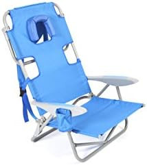 Ostrich On Your Back Chair | Amazon (US)