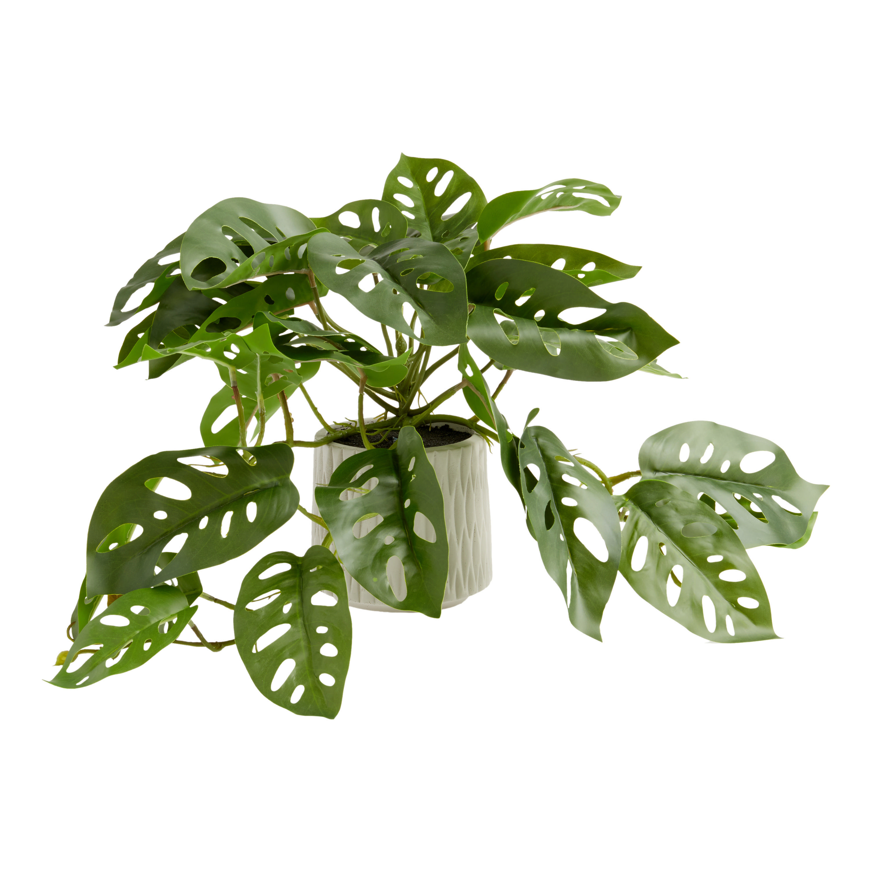 Faux Monstera Plant in Geo Ceramic Pot | World Market