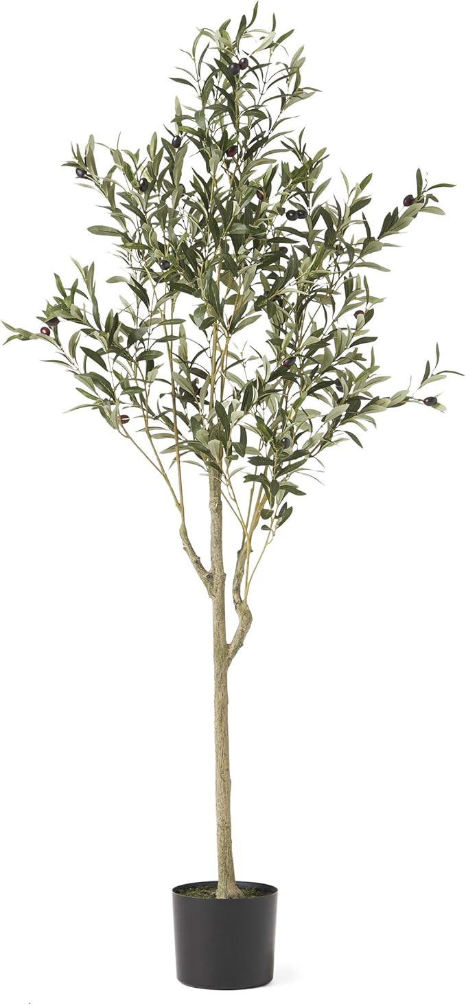 Christopher Knight Home 313746 Artificial Plants, 5' x 2', Green | Amazon (US)