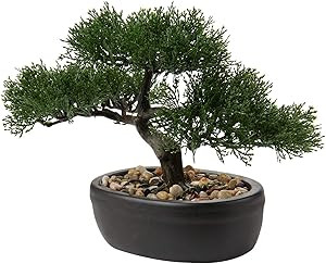 Artificial Bonsai Tree Juniper Faux Plants Indoor Small Fake Plants Decor with Ceramic Pots for H... | Amazon (US)