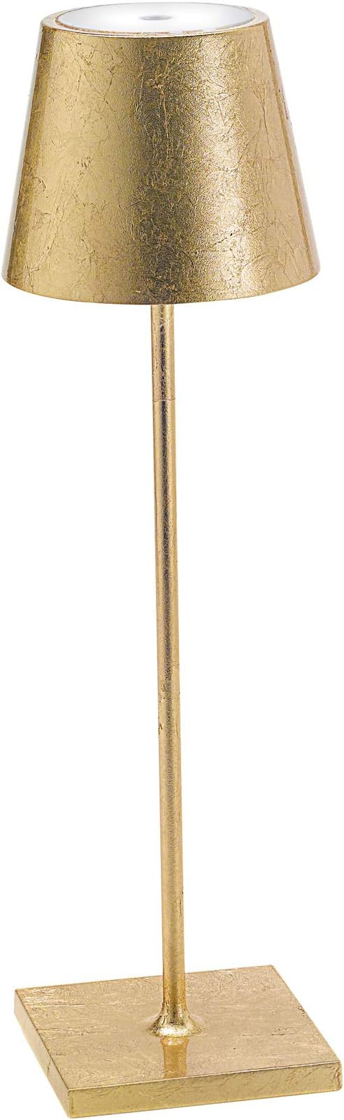 Ai Lati Lights - Poldina Pro Dimmable LED Table lamp in Aluminum, IP54 Protection, Indoor/Outdoor... | Amazon (US)