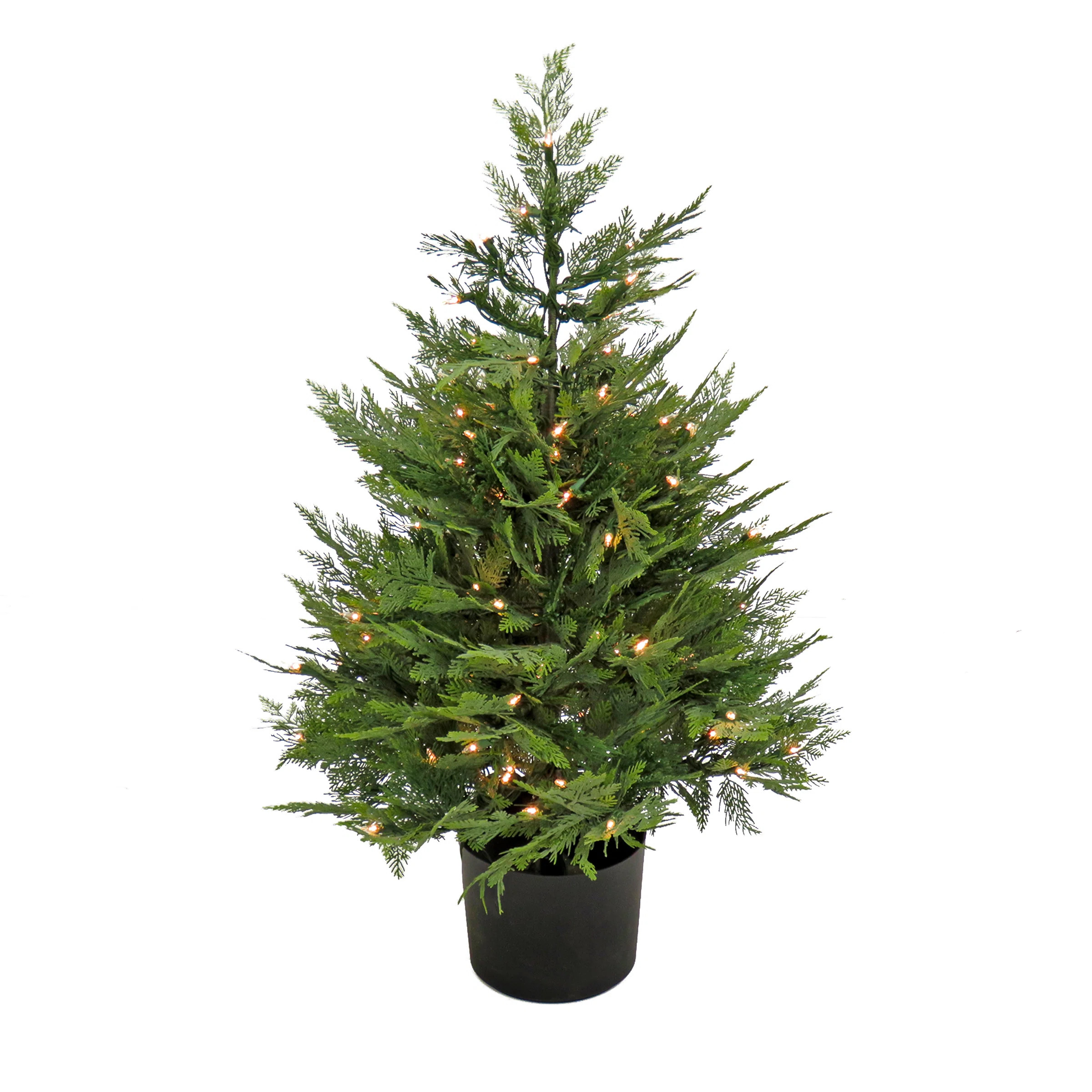 National Tree Company 3 ft. Pre-Lit Cypress Tree in Nursery Pot | Wayfair | Wayfair North America