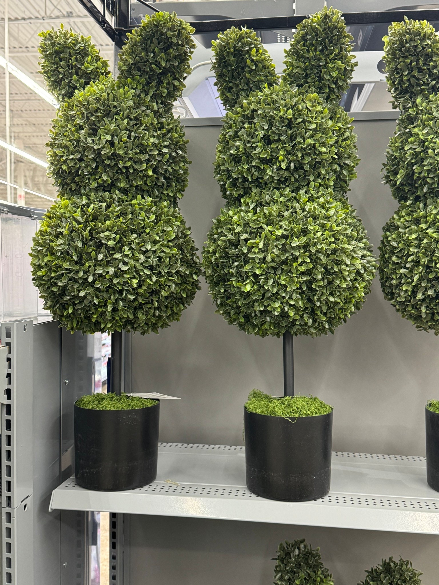 Easter Decorations 🐇🤍🐇

Easter//Easter Decorations// Wal-Mart// Wal-Mart Easter Decorations 

#LTKSeasonal #LTKHome