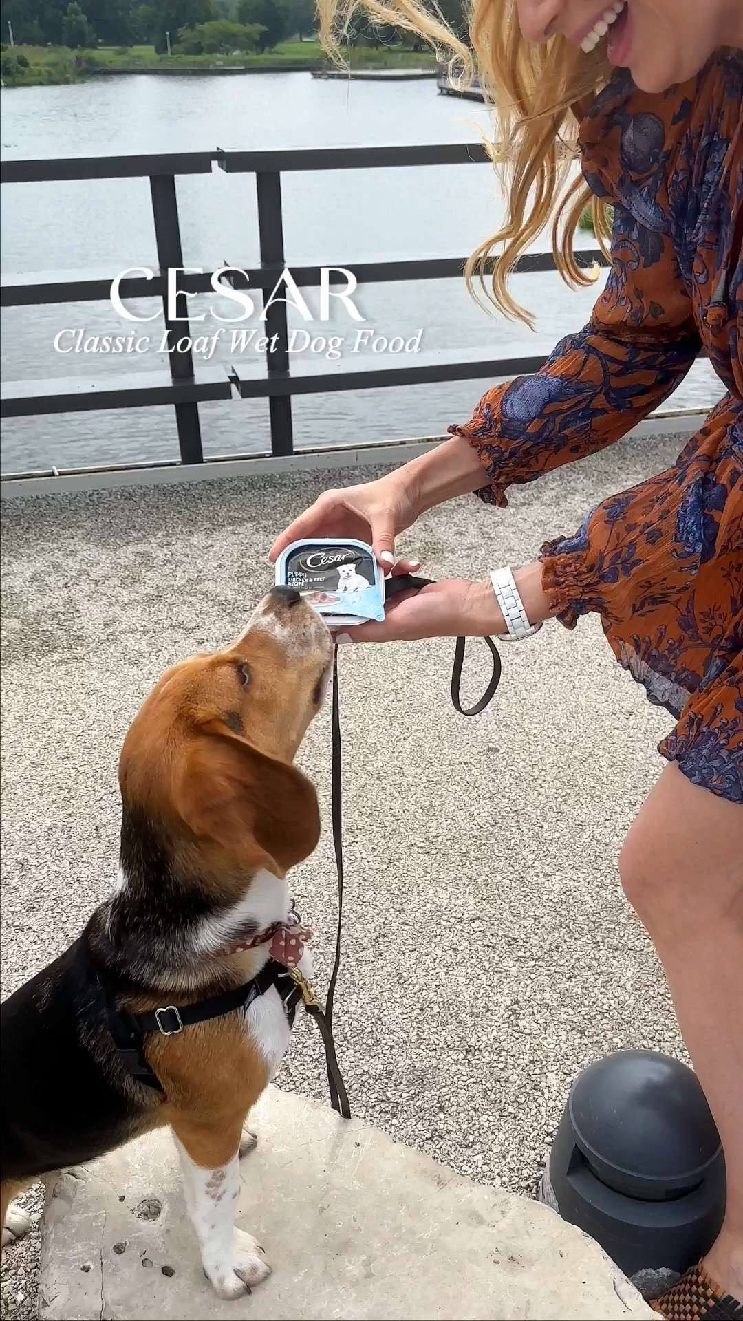 Give your pup the five-star treatment every mealtime! 🐾It’s perfect as a complete meal or as a delicious "topper" to add moisture and flavor to dry kibble. Great gift ideas for a "new puppy" welcome basket, a doggy birthday party, or for the neighbor who treats their small dog like royalty! 🐶 #CesarClassic #DogNutrition #PetCareHacks #CesarDogFood #PetWellness #PetHealthTips #WetDogFood 

#LTKmomlife #LTKHome