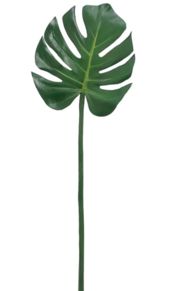 Monstera Leaf | House of Blum