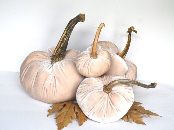 Beige Velvet Pumpkins With A Natural Stem/Fall Decor/Pumpkin Decor | Etsy (US)