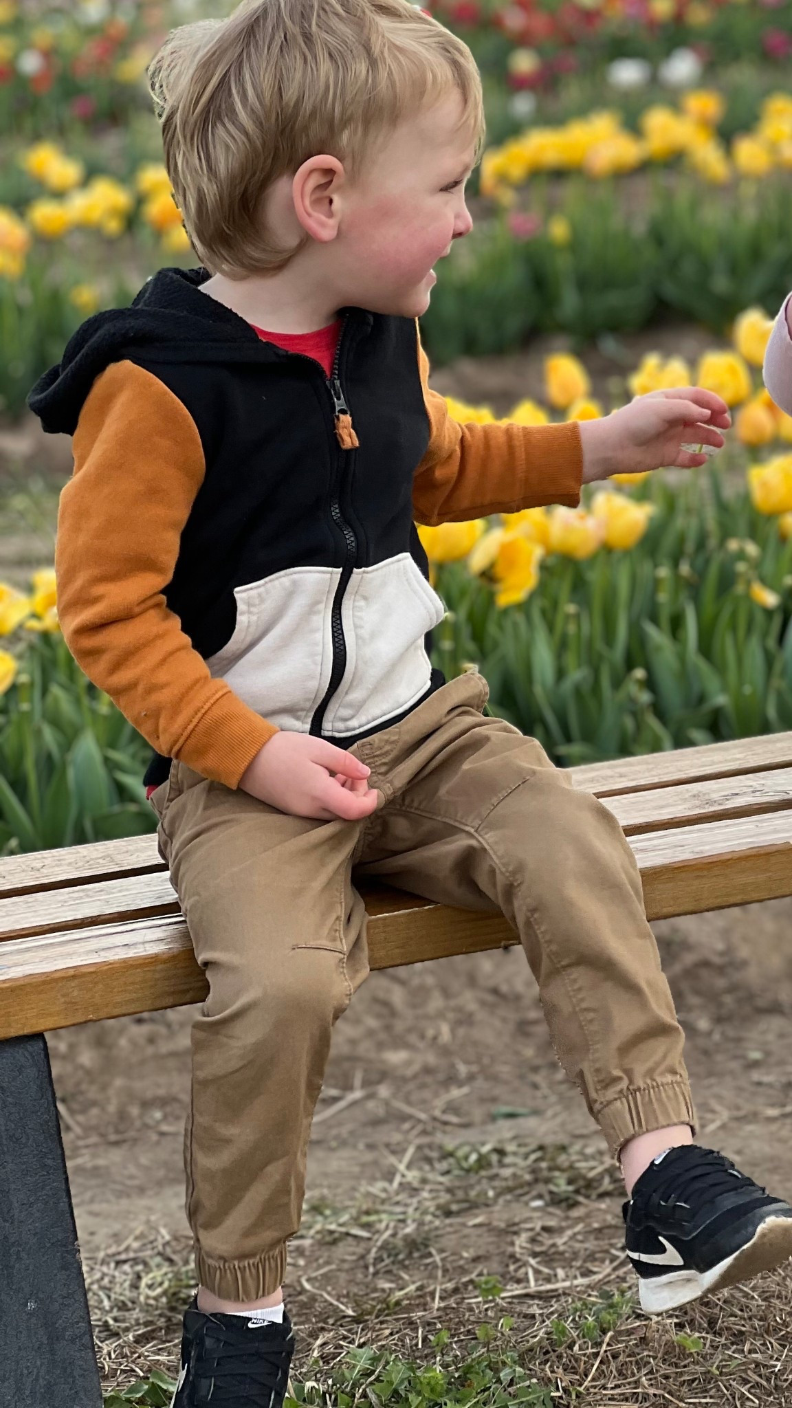 Toddler boy moms! Stock up on these Target Cat and Jack staples right now when they're on sale. The joggers are my favorite- I have them in every size from 12m and am getting the 4t ones now. The zip up sweatshirts are perfect for fall days or to use as an extra sweater for your car! Stock up on preschool outfits or playground play dates- these are my go to pieces for toddler boys! 

#LTKBaby #LTKSaleAlert #LTKKids