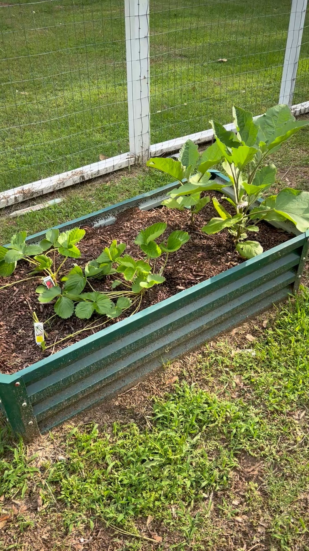 The best raised garden beds 

#LTKHome #LTKSeasonal #LTKSpringSale