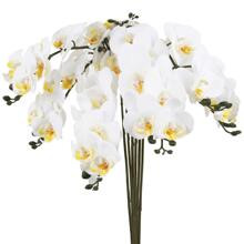 6Pcs Faux Orchid Phalaenopsis Orchid Artificial Flower 24" Faux Yellow Orchid Stem Real Touch Latex Fake Orchids Fake Flowers Long Stem Artificial Flo | SHEIN