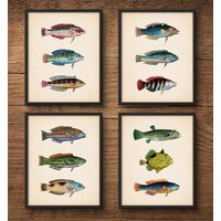 Tropical Fish Print Set, Beach Decor, Large Wall Art, Coastal Scientific Illustration, Prints, Colorful Fish, Art | Etsy (US)