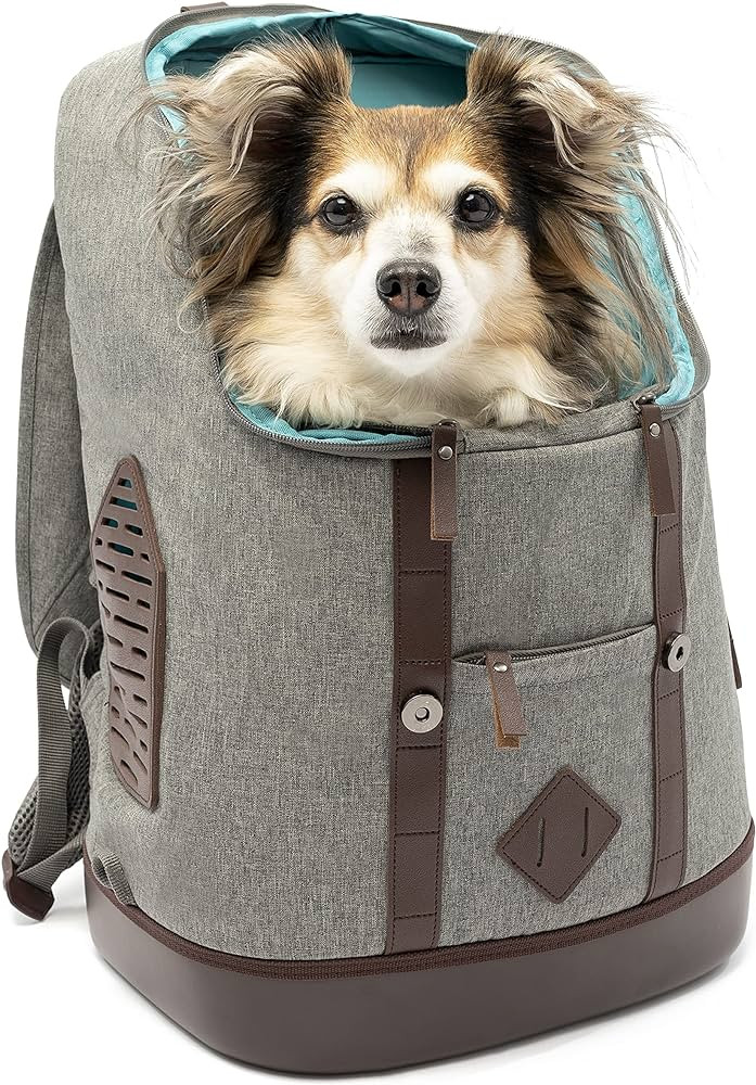 Kurgo Dog Carrier Backpack for Small Pets - Dogs & Cats | Cat | Hiking or Travel | Waterproof Bot... | Amazon (US)