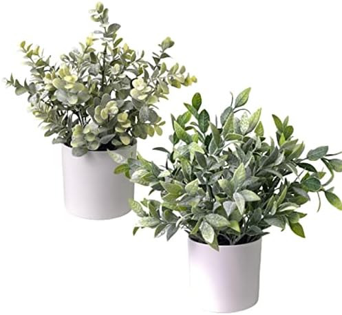 BLVVCOM Fake Plants Artificial Plants for Home Decor Indoor with Pots,Bohemian Small Faux Plants ... | Amazon (US)