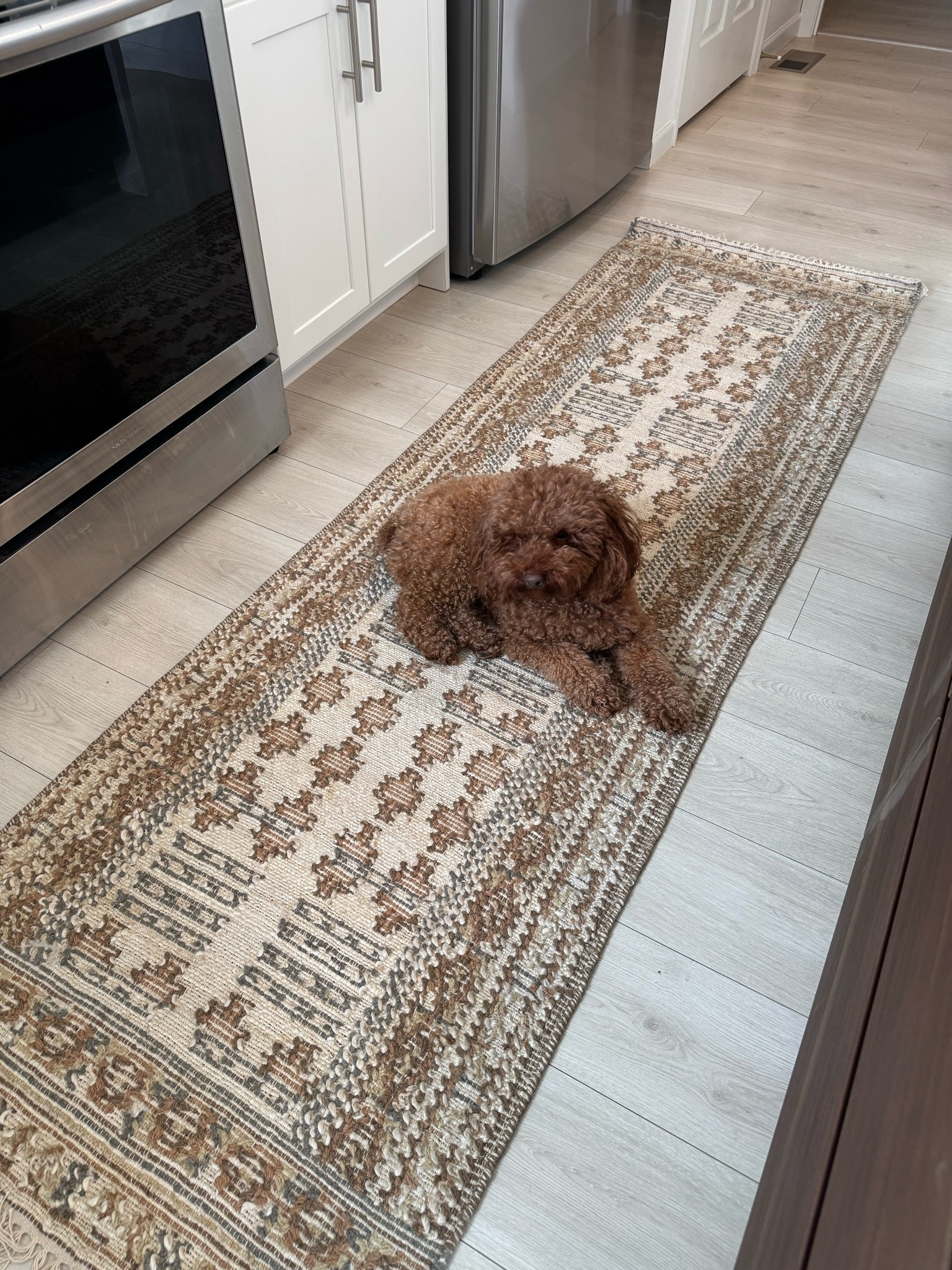 My new rug 🥰