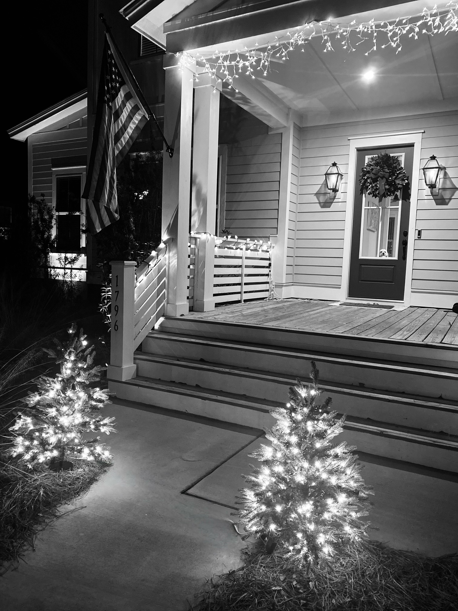 These twinkling staked Frasier furs have added such sparkle to our holiday! They are now marked down to $51 from $129! Stock up for next year! 

#LTKSaleAlert #LTKHoliday #LTKSeasonal