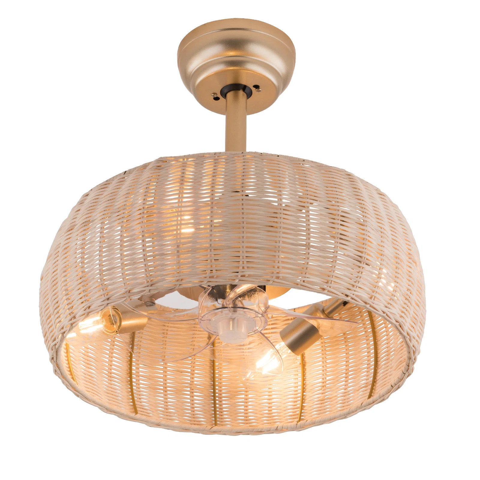 Bay Isle Home™ Adrita 18.5" Ceiling Fan Boho Bamboo Caged Ceiling Fan with Remote Control & Rev... | Wayfair North America