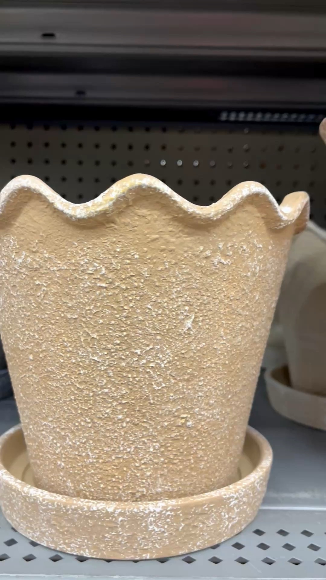 A sculptural planter is like art in itself, adding so much more interest! I've linked it here for you, such a great price! Can be used indoor or outdoors !

#LTKSeasonal #LTKdayinmylife #LTKHome