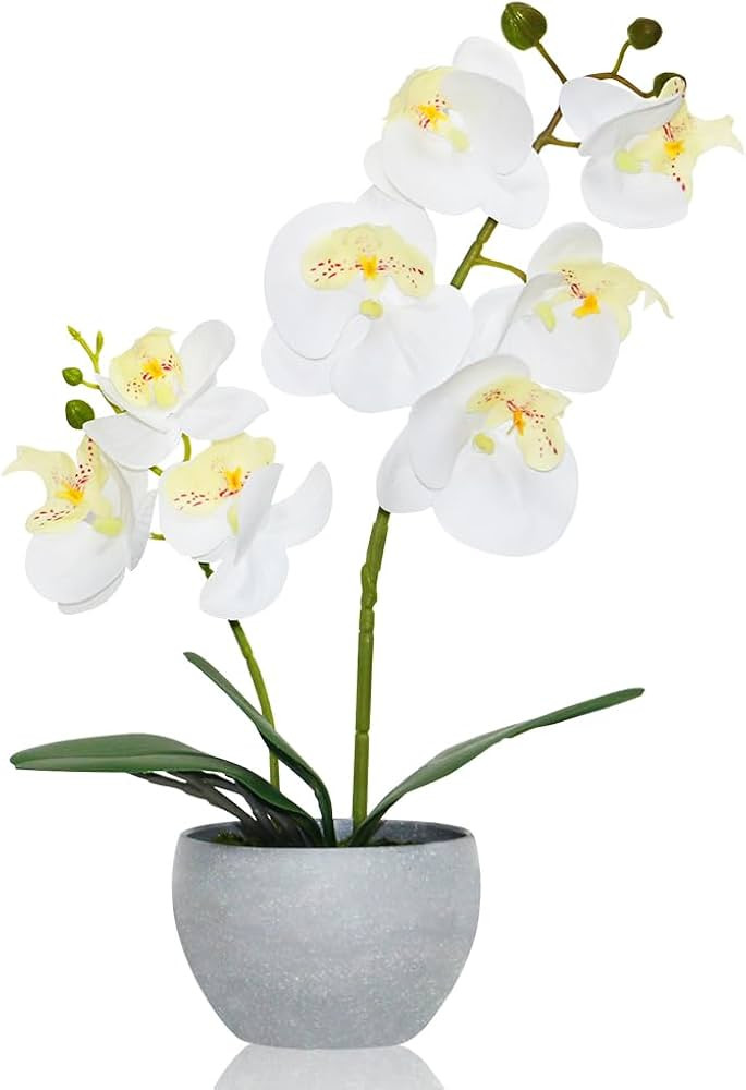 White Orchid Artificial Flowers 2 Stems in Grey Pot, Potted Faux Orchid Flower for Home Bathroom ... | Amazon (US)