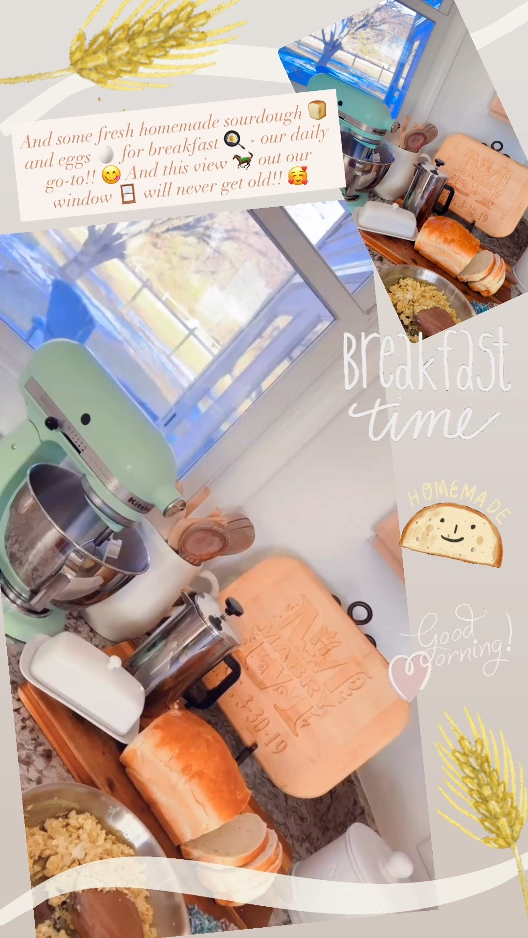 And some fresh homemade sourdough 🍞 and eggs 🥚 for breakfast 🍳 - our daily go-to!! 😋 And this view 🐎 out our window 🪟 will never get old!! 🥰

#LTKHome #LTKmomlife