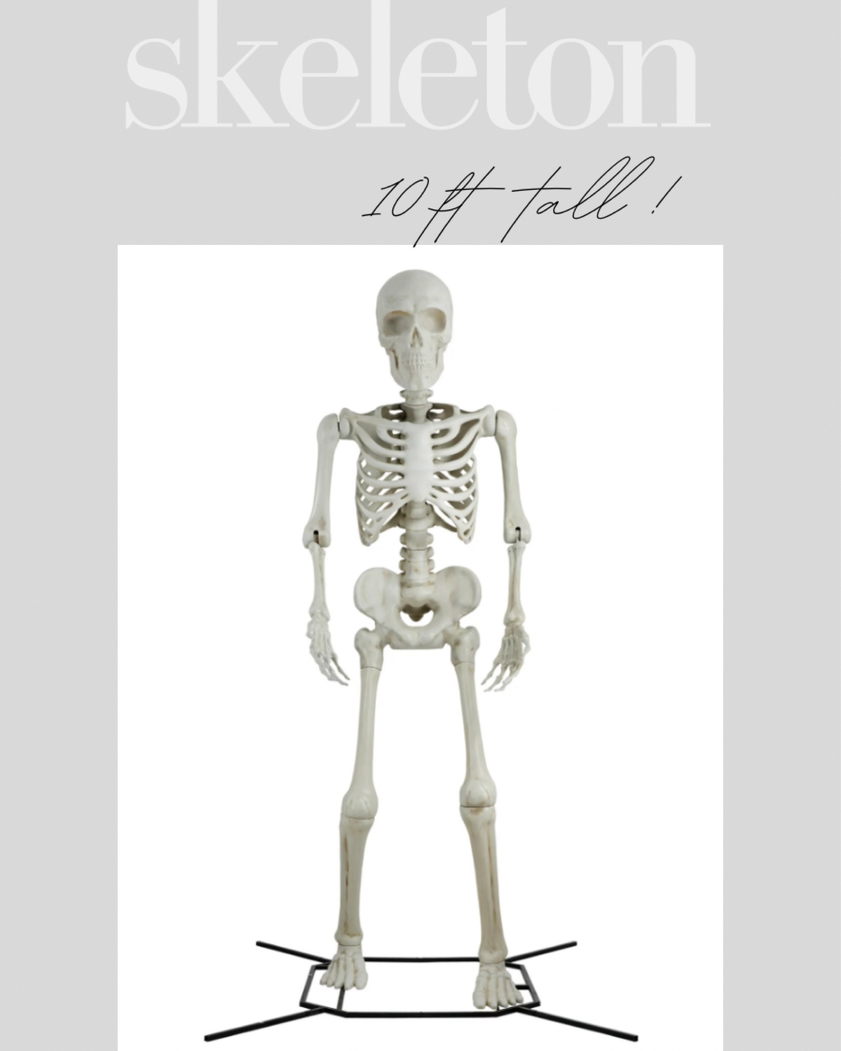 Amazing 10ft tall skeleton, sure to sell out ! Also linking some other Halloween finds 👻



#LTKfamily #LTKhome #LTKSeasonal