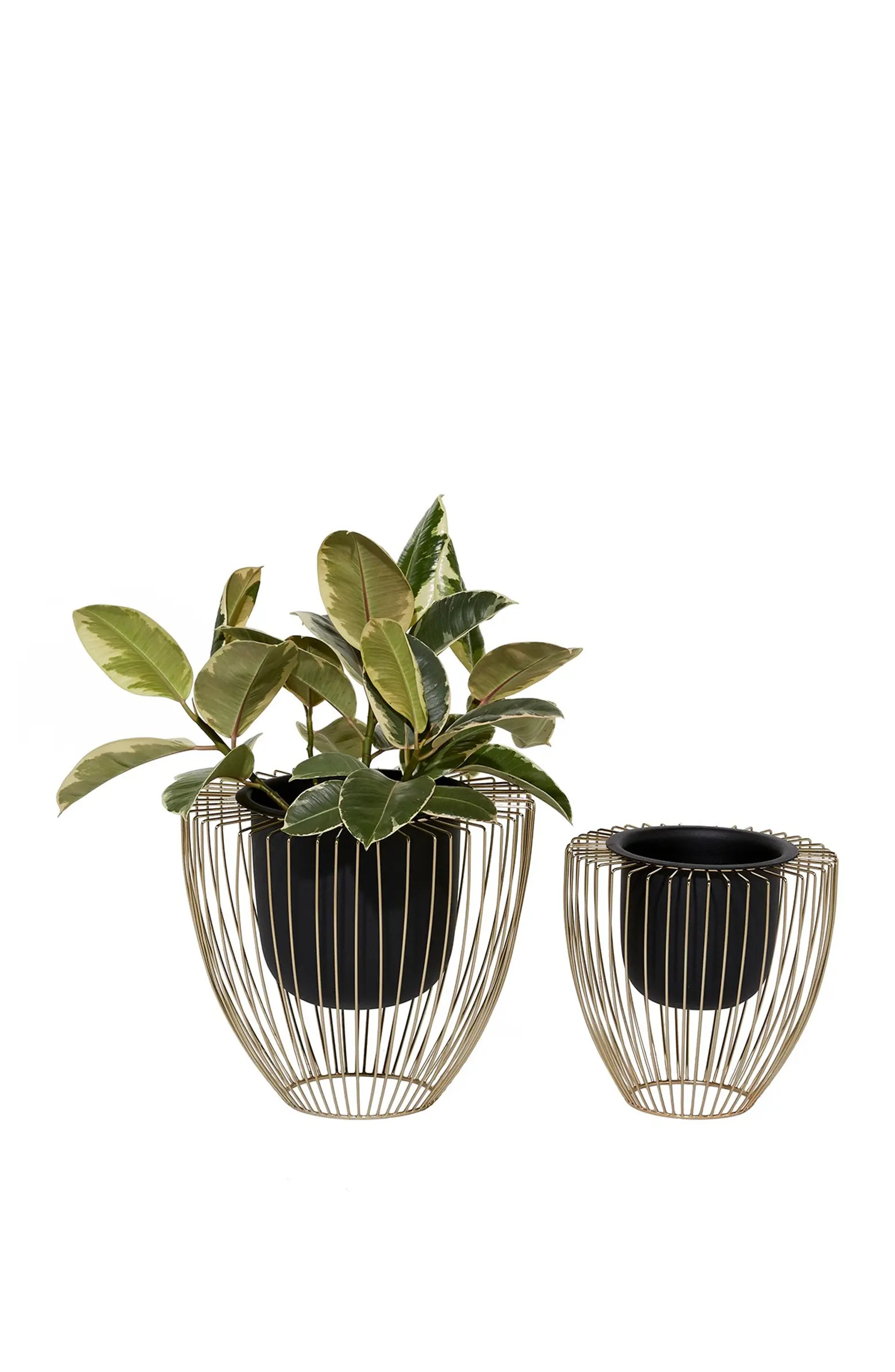 VIVIAN LUNE HOME Black Metal Indoor & Outdoor Planter with Removable Goldtone Wire Stand - Set of... | Nordstrom Rack