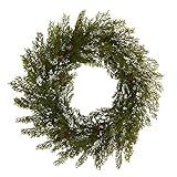 Nearly Natural 20in. Snowed Artificial Cedar Wreath with Pine Cones, Green | Amazon (US)