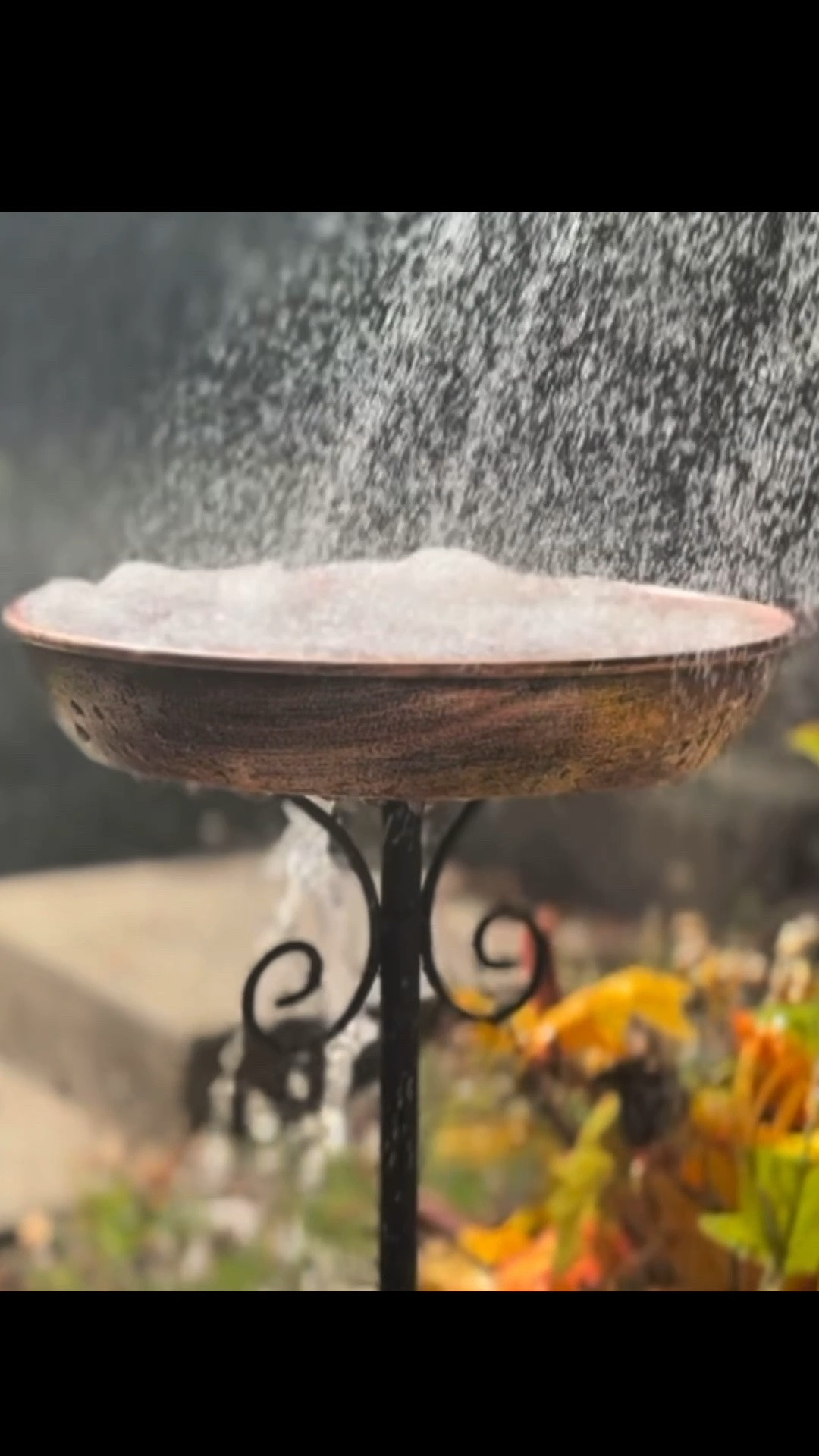 Perfect little bird bath 🚿

#LTKselfcare #LTKdayinmylife #LTKHome