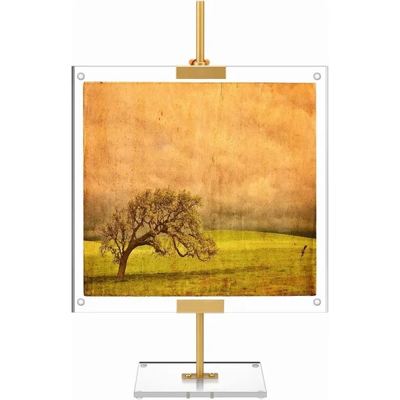 Gold Adjustable Metal Easel Stand with Acrylic Floating Photo Frame 16.5" Tabletop Metal Standing... | Walmart (US)