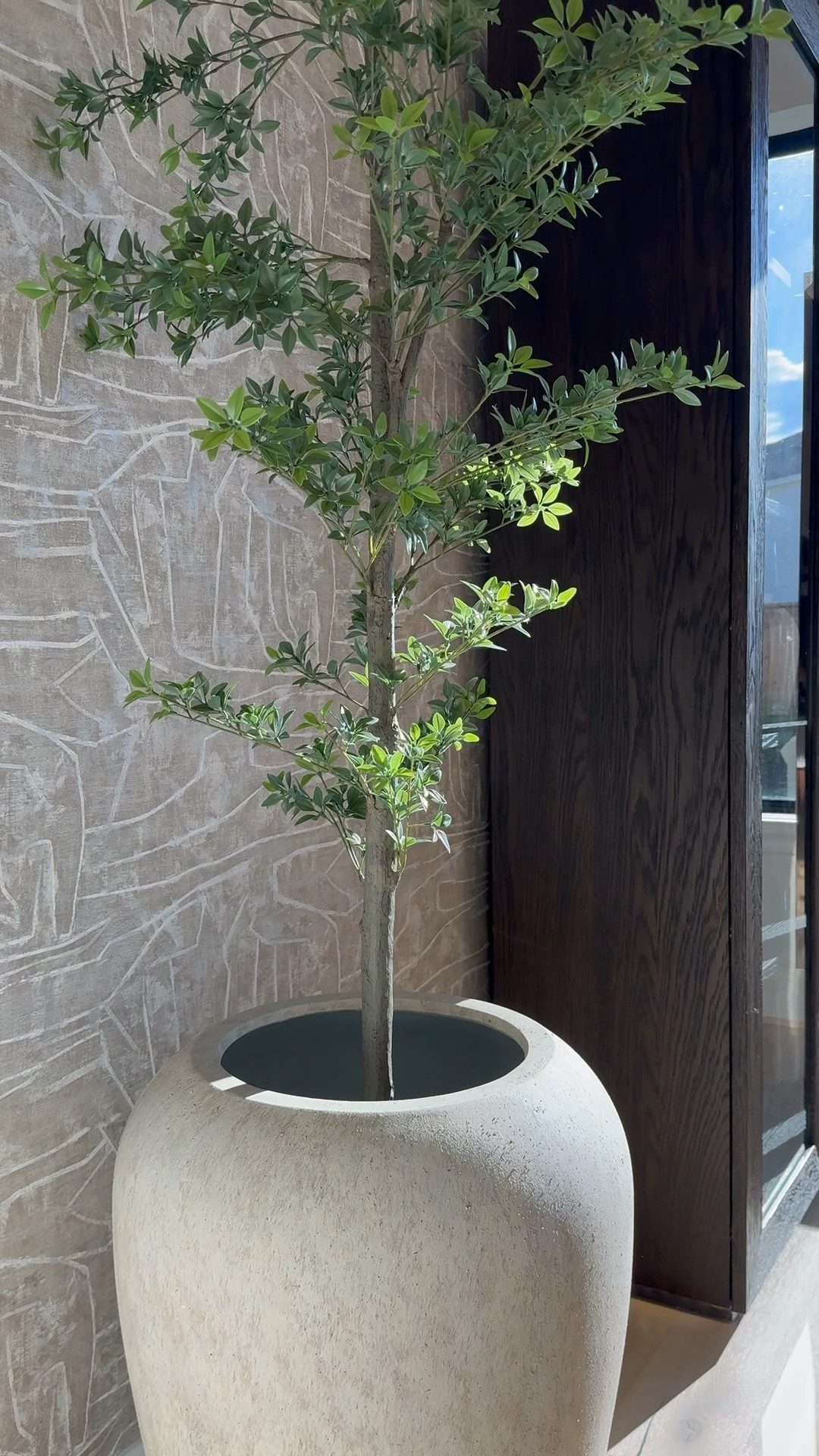 I am absolutely loving this planter from Pottery Barn! It's gorgeous, and the best part is that it's so versatile - it works perfectly for both bigger trees and smaller ones too! 🌳 I love it so much that I actually ended up buying another one, haha! 😆 It's definitely a game-changer for decorating any space. 

#LTKHome #LTKStyleTip #LTKSaleAlert