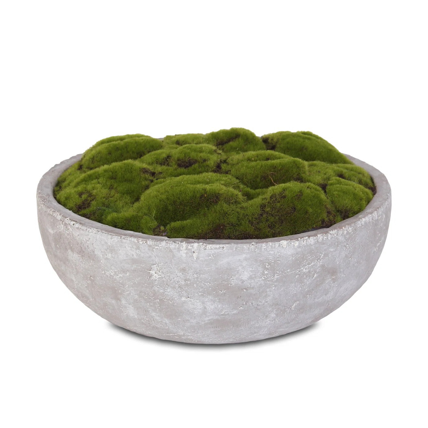 7'' Faux Succulent in Stone Pot | Wayfair North America