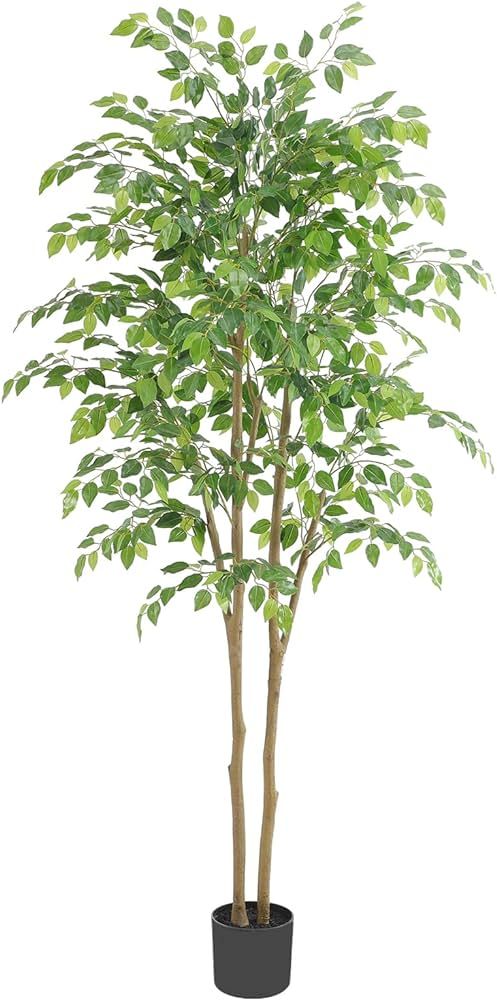 Tall Ficus Tree Artificial，6ft(72in) Faux Ficus Tree with Realistic Smooth and Shiny Leaves， ... | Amazon (US)