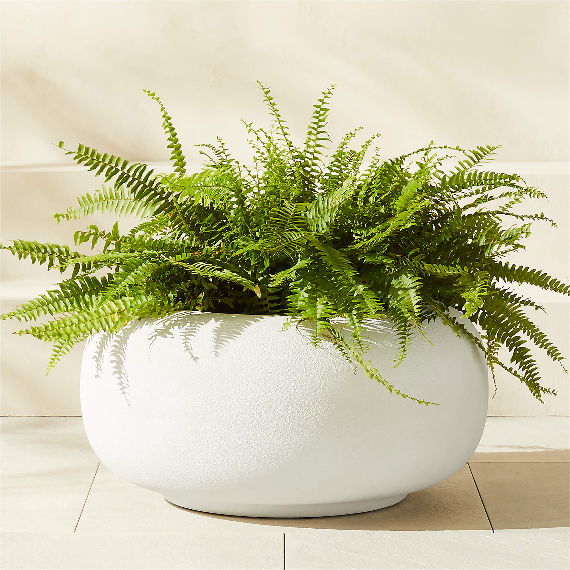 Anique Round Taupe Cement Indoor/Outdoor Planters | CB2 | CB2