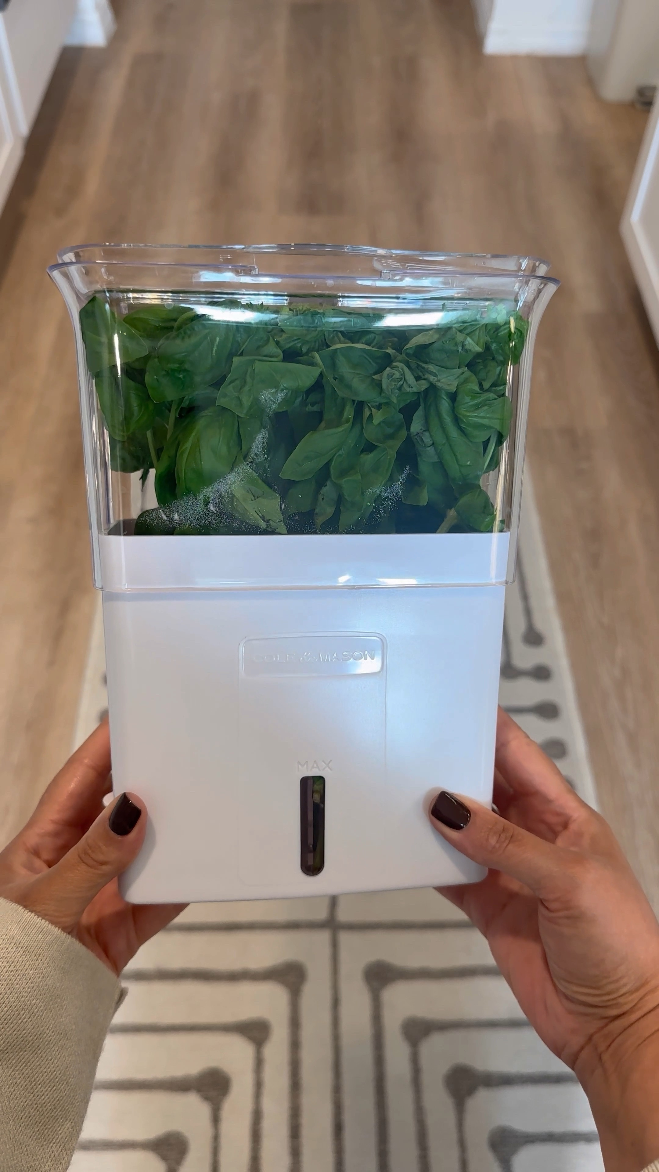 My new herb keeper keeps my basil fresh in the fridge or countertop longer! 🌿

Herb keeper
Keep herbs fresh
Fridge restock
Fridge organization 


#LTKVideo #LTKHome #LTKSaleAlert