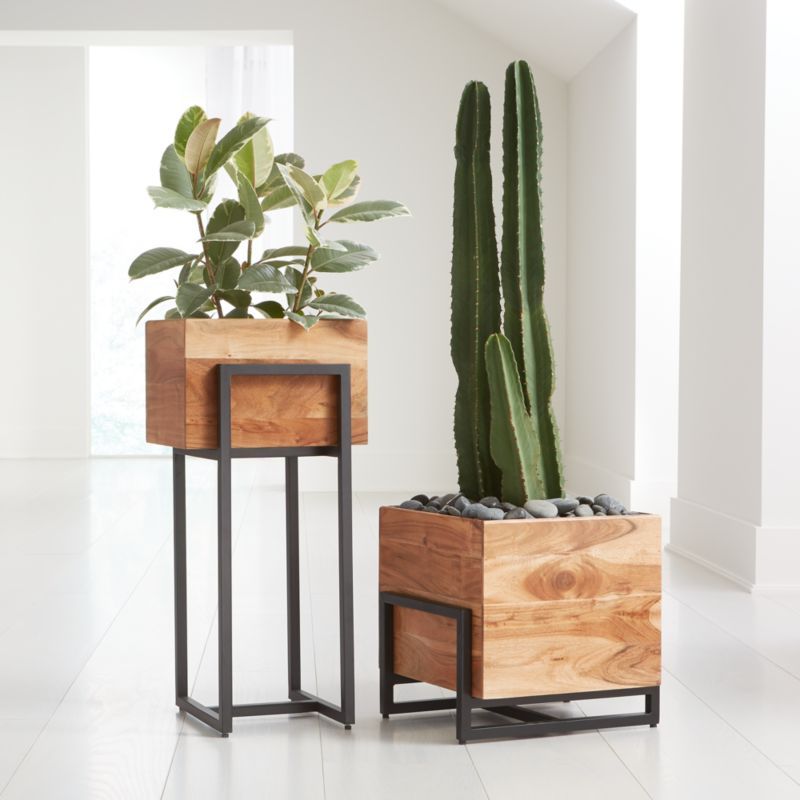 Arcaydia Floor Planters | Crate and Barrel | Crate & Barrel