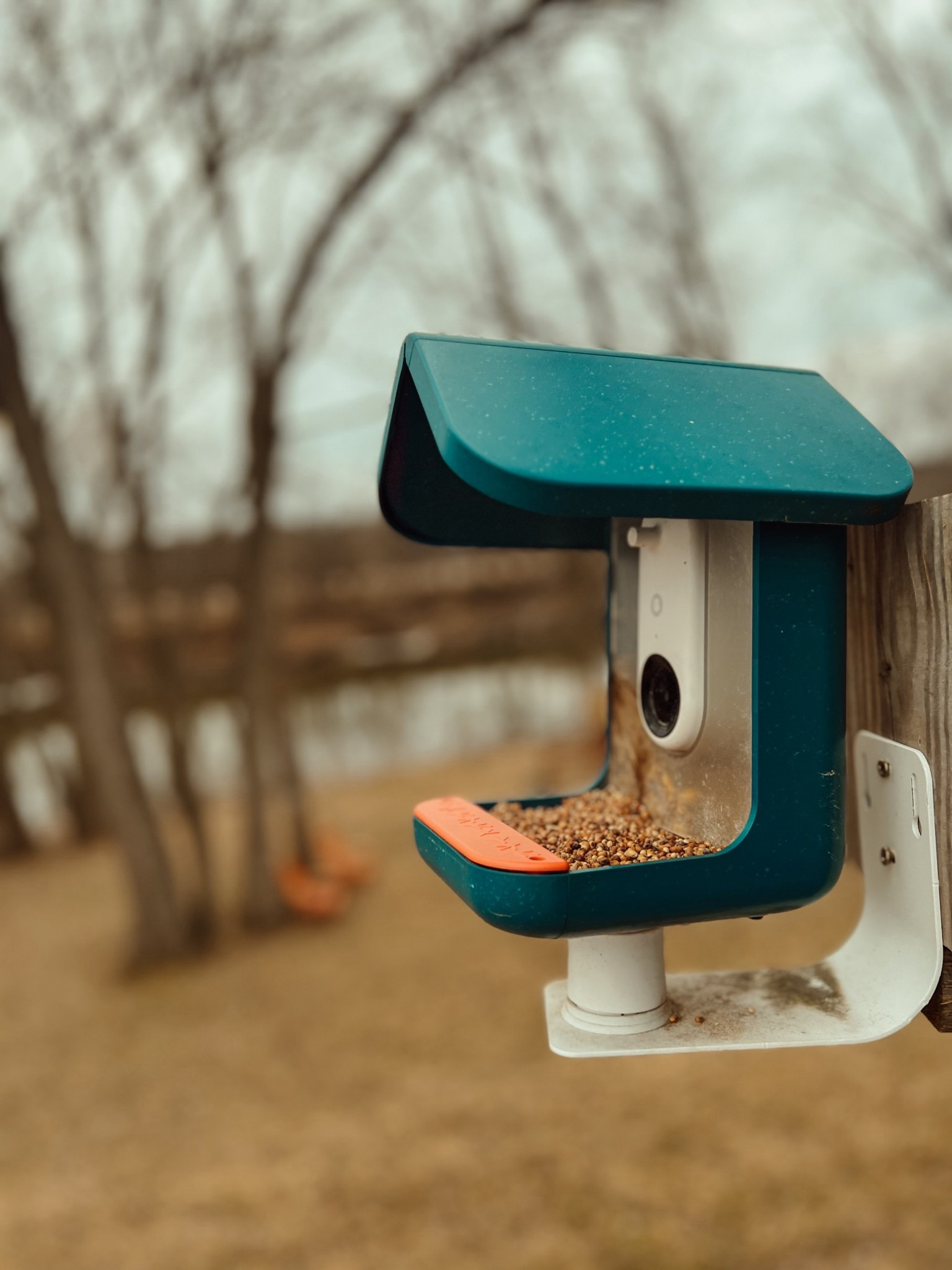 Favorite bird feeder - bird buddy. It lets us see each visitor! a cool feature for homeschooling and studying birds! 

#LTKSpringSale #LTKHome #LTKKids