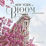 New York in Bloom 2020 Wall Calendar | Amazon (US)