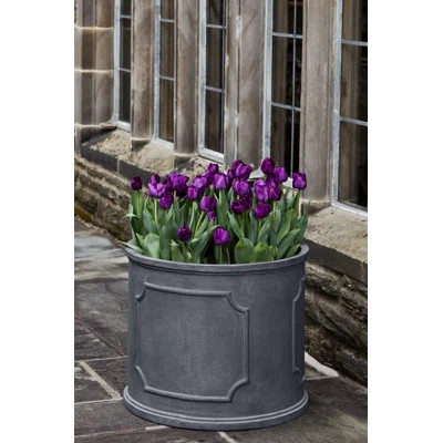 Dyer Glass Pot Planter | Wayfair North America